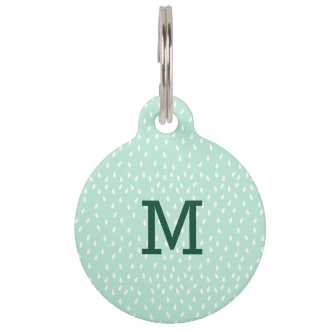 Mint Green Gepersonaliseerde ID Dog Label Huisdierpenning (Voorkant)