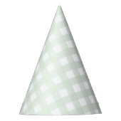 Mint Green Gingham Party Pet Feesthoedjes (Voorkant)