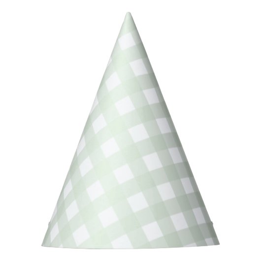 Mint Green Gingham Party Pet Feesthoedjes (Voorkant)