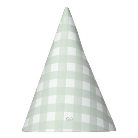 Mint Green Gingham Party Pet Feesthoedjes (Rechts)