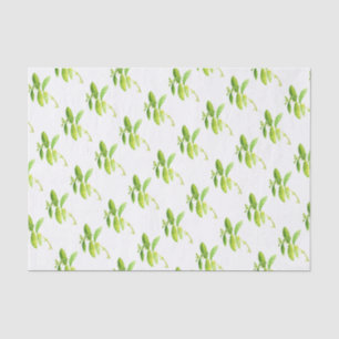 Mint herb Waterverf Greenery Mam Pattern Tissuepapier