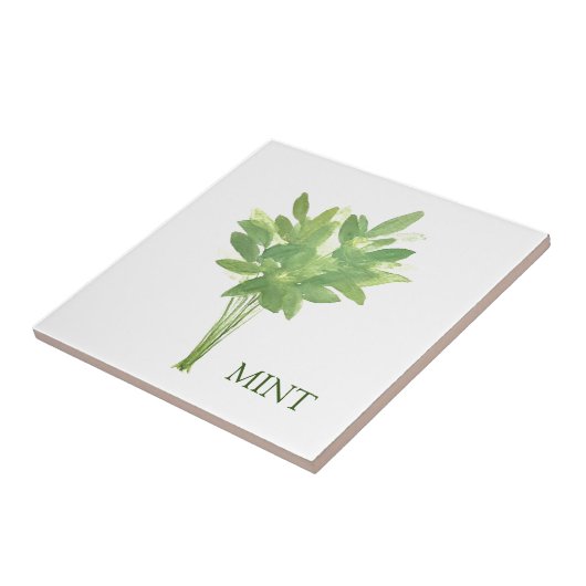 Mint kruid groen keuken tijm salie groen tegeltje (Zijkant)