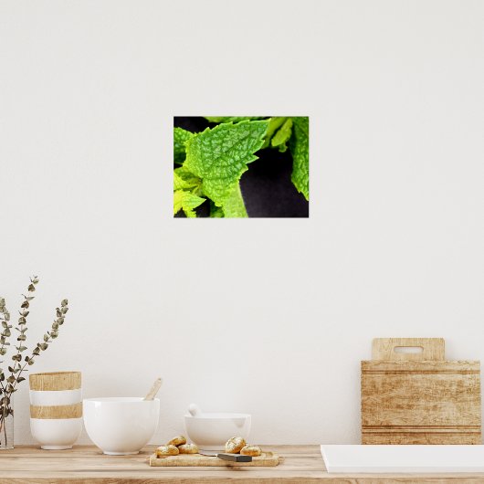 Mint Leaf poster (Keuken)