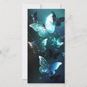 Mint Night Butterflies Aankondiging