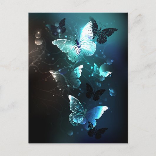 Mint Night Butterflies Advieskaart (Voorkant)