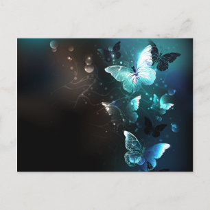 Mint Night Butterflies Briefkaart