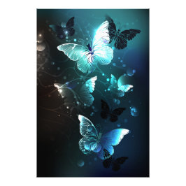 Mint Night Butterflies Foto Afdruk