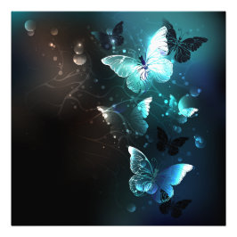 Mint Night Butterflies Foto Afdruk