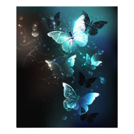 Mint Night Butterflies Foto Afdruk