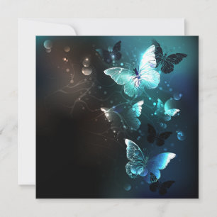 Mint Night Butterflies Kaart