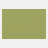 Mint Wrapping Paper Flat Sheet Set of 3 (Voorkant 3)