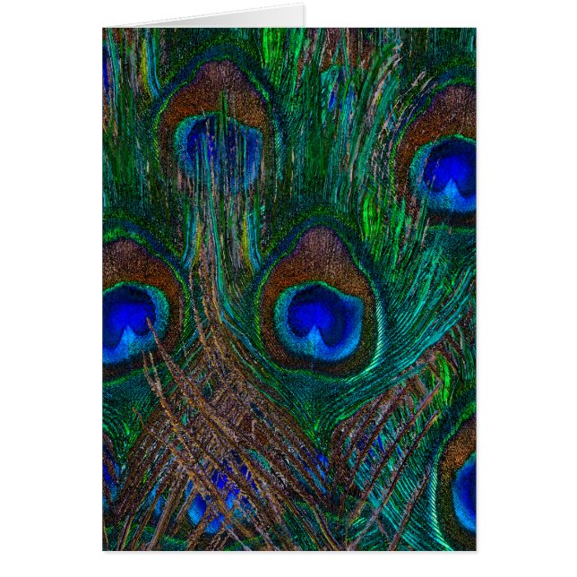 Minuit Peacock Plumes Etching Style Décor (Devant)