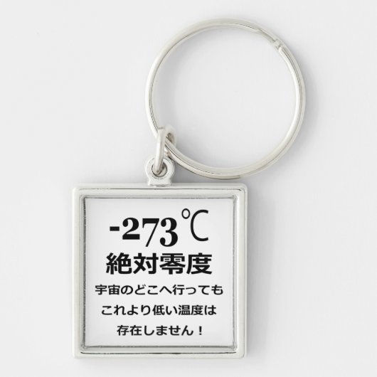 Minus 273 sleutelhanger (Voorkant)