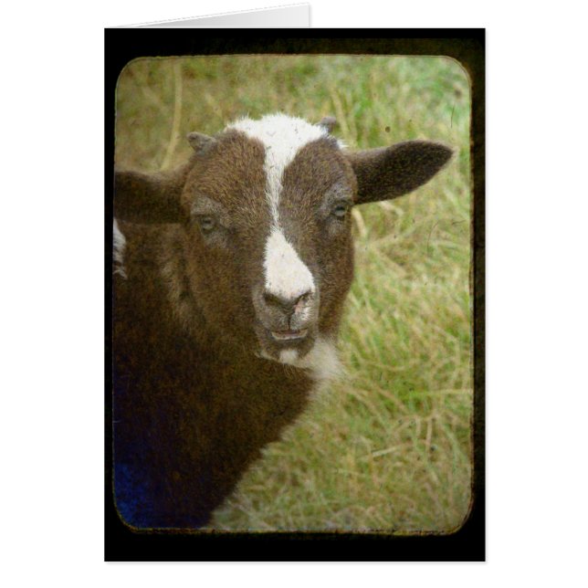 Minuscule grandit (Devant)