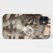 Minuscule Kitten IPhone 5 coque (Dos (Horizontal))