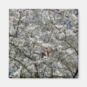 Mirabelle Blossom Fridge Magnet Magneet