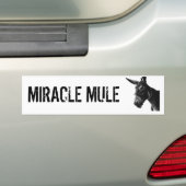 MIRACLE MULE Bumpersticker (Op auto)