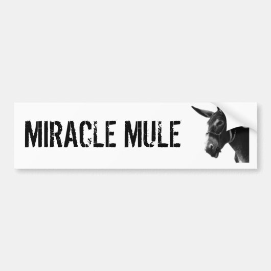 MIRACLE MULE Bumpersticker (Voorkant)