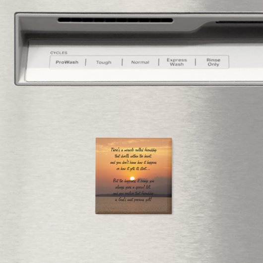 Miracle Of Friendship Poem Magnet (In Situ (Lave-vaisselle))