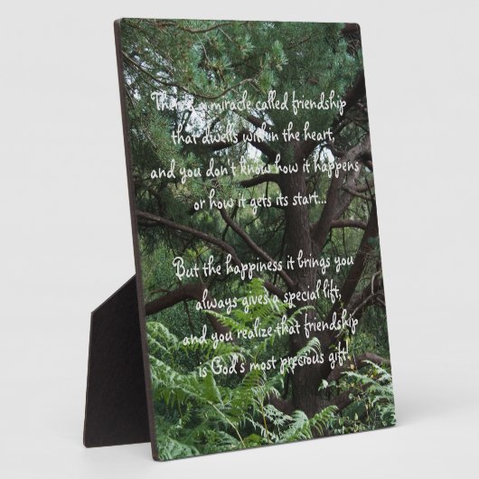 Miracle of friendship Poem Plaque (Côté)
