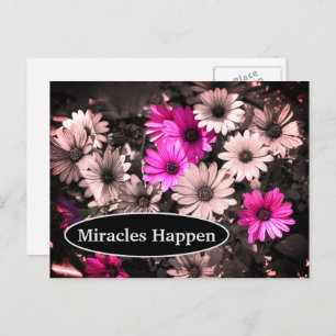 Miracles Happen Daisies Inspirerend Briefkaart