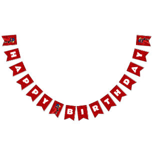 Miraculous Ladybug & Cat Noir Birthday Vlaggetjes