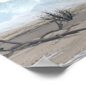 Miragaia dinosaur - 3D rendering Poster (Hoek)