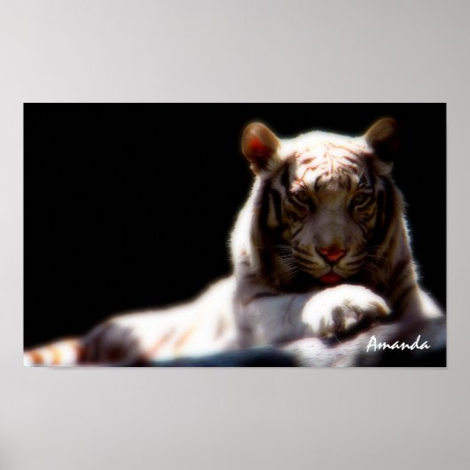 Mirage White Tiger Art Poster (Voorkant)