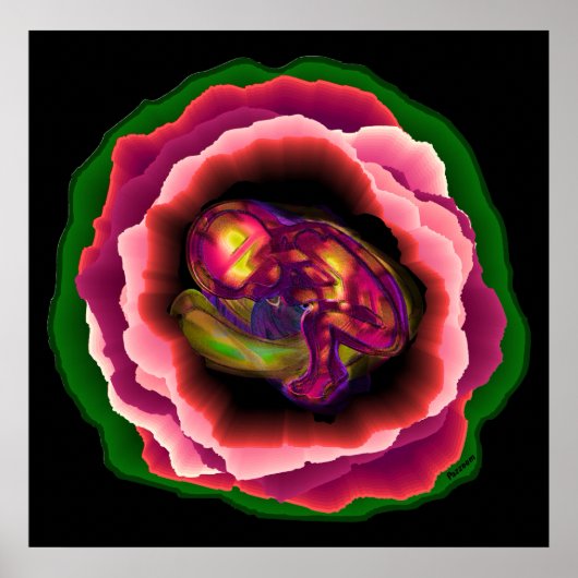 Mirakel van het leven poster (Voorkant)