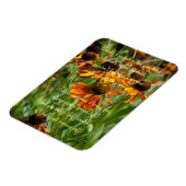 mirakel van vriendschap gedicht magneet (Linkerzijde)