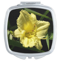 Hémerocallis à fleurs diurnes jaunes