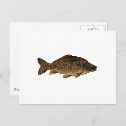 Mirror Carp Briefkaart (Voorkant / Achterkant)