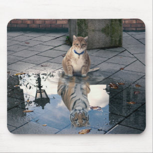 Mirror-kat Muismat