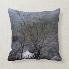 Mirror Lake 2 Pillow Kussen