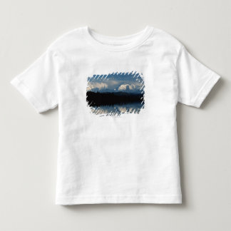 Mirror Lake Horizon met Forest & Snowy Mountains Kinder Shirts