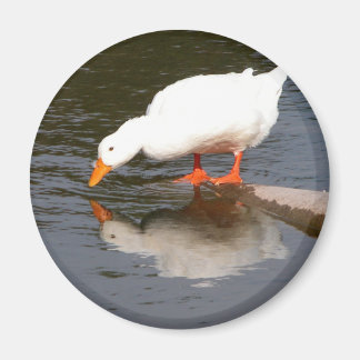 Mirror Magneet
