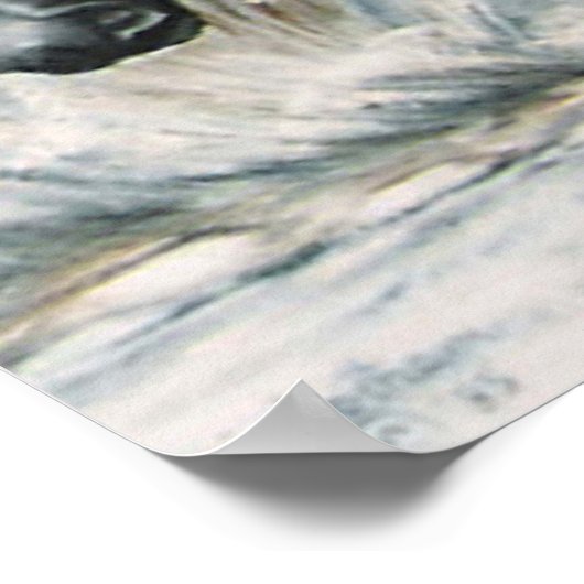 Mirror, Mirror.....afdrukken Poster (Hoek)