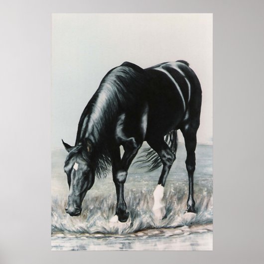 Mirror, Mirror.....afdrukken Poster (Voorkant)