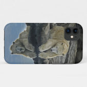 Mirror Mirror Polar-Beer Case-Mate iPhone Case (Achterkant (horizontaal))