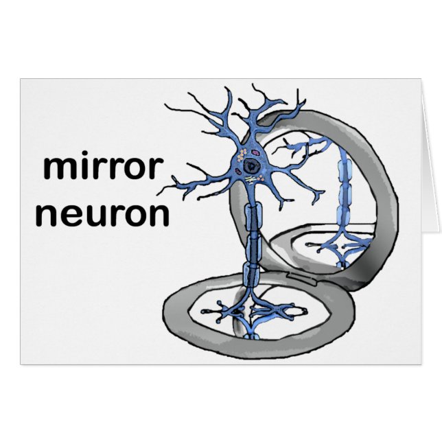 Mirror Neuron (Voorkant Horizontaal)