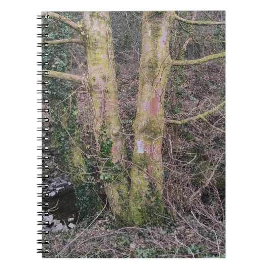 Mirror Trees-Notitieboek Notitieboek (Voorkant)