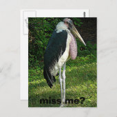 Mis je me? briefkaart (Voorkant / Achterkant)