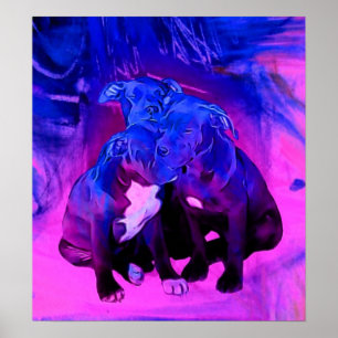 Misbruik Pit Bull Puppy Dogs, Faith, Hope en Chari Poster