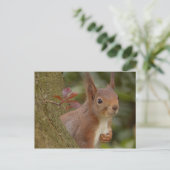 Mischevous Red Squirrel Briefkaart (Staand voorkant)