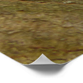 Mischevous Red Squirrel Poster (Hoek)