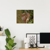 Mischevous Red Squirrel Poster (Thuiskantoor)