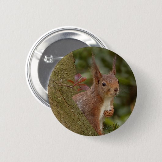 Mischevous Red Squirrel Ronde Button 5,7 Cm (Voorkant /achterkant)