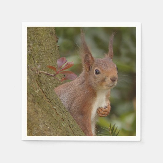 Mischevous Red Squirrel Servet (Voorkant)