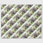 Mischiearian Moose Cadeaupapier (Vlak)