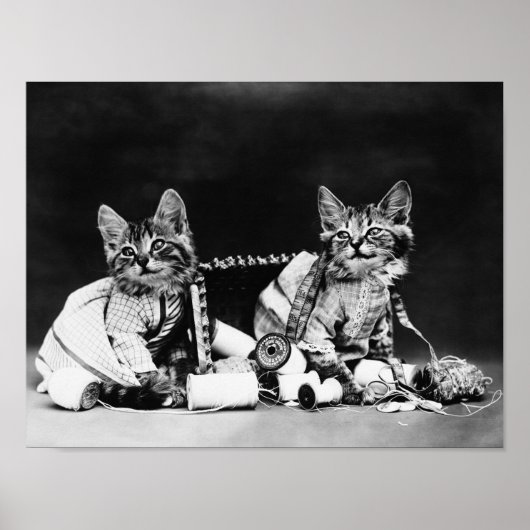 Mischief Makers - Harry Whittier Frees Poster (Voorkant)